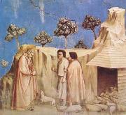 Joachim Takes Refuge in the Wilderness (mk08) Giotto
